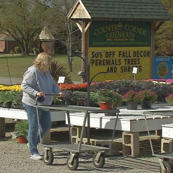 Country Corner Greenhouse 5.jpg
